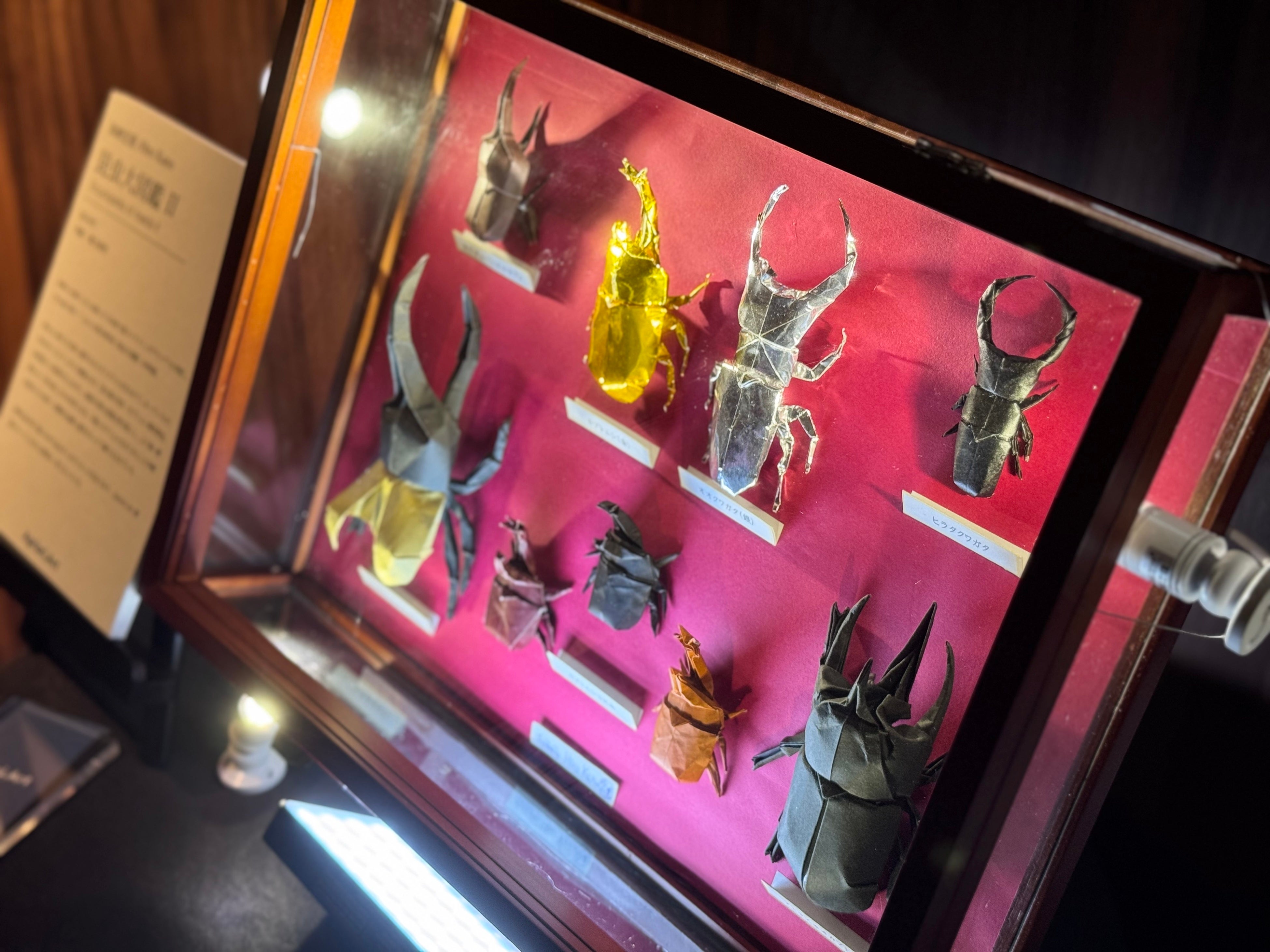 Apriori.Art 折り紙作品